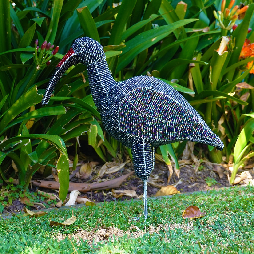 Beaded Hadeda