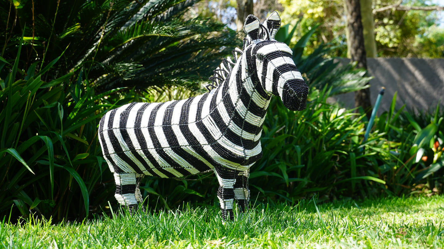 Beaded Zebra