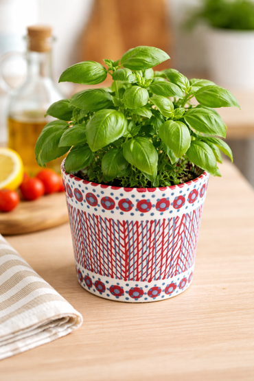 Herb Planter