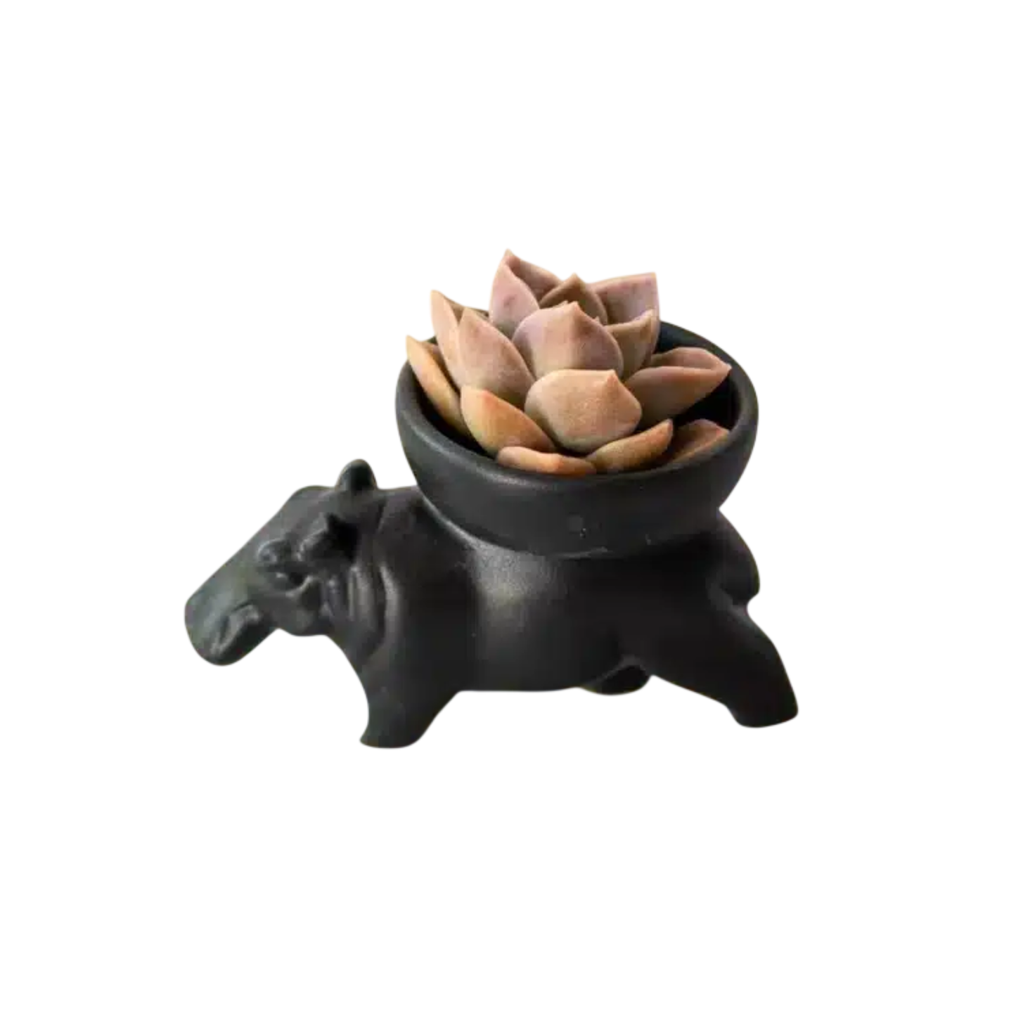 Huberta Hippo Bowl Large