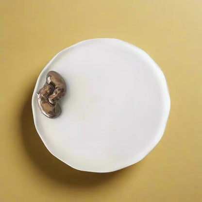 Double Hippo Plate