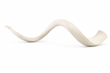 Kudu horn Inners Bone