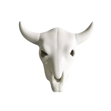 Cow Skull