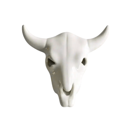 Cow Skull