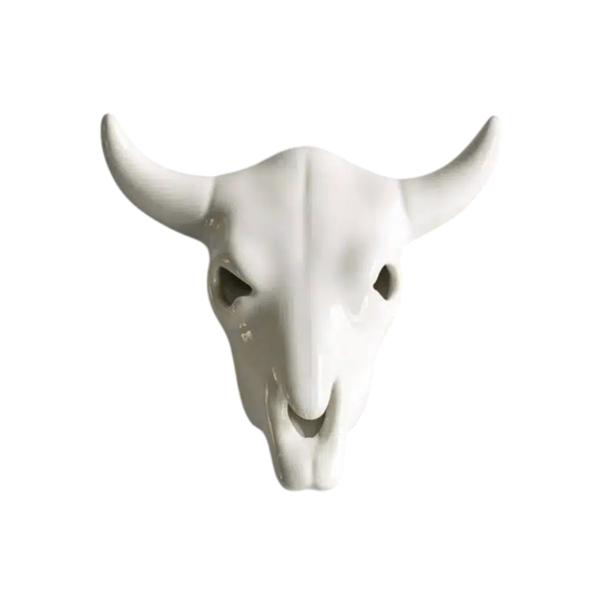 Cow Skull